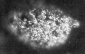 BERKELIUM / CALIFORNIUM / AMERICIUM / EUROPIUM   #97 #98 #95 # 63 - science illustration