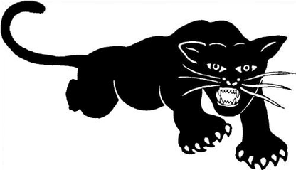 BLACK PANTHERS - history illustration