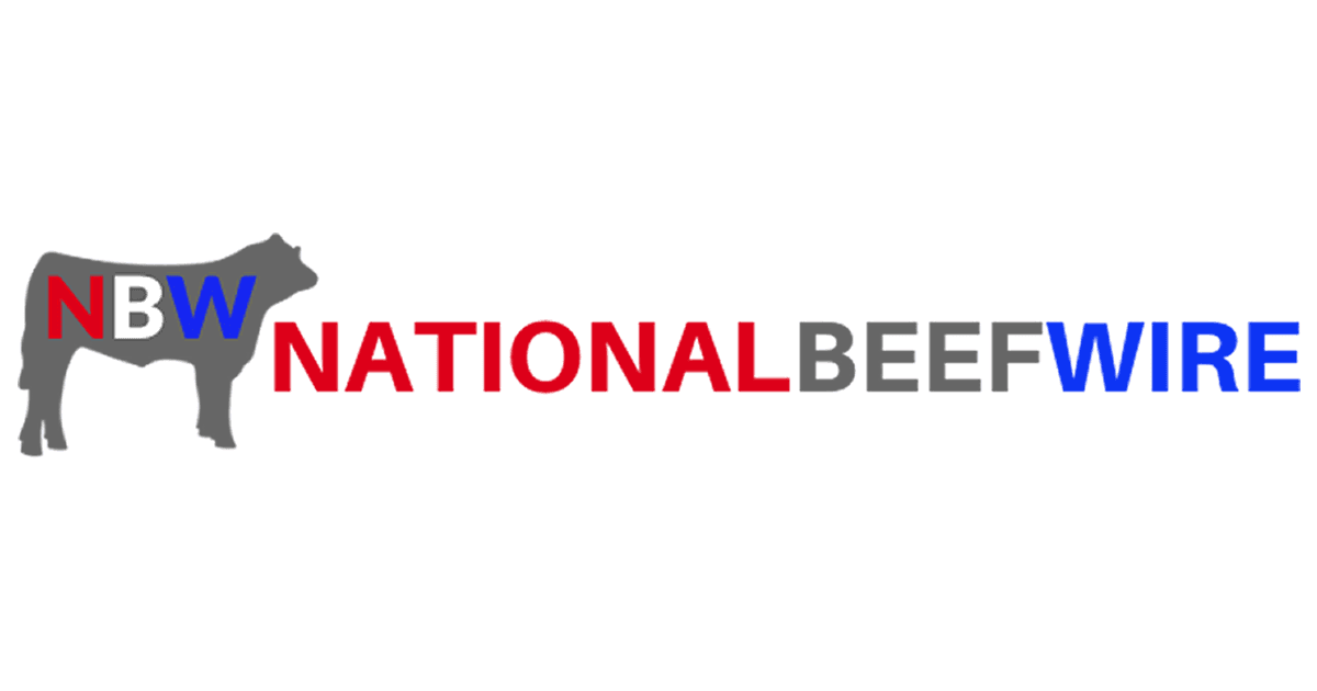 TEXAS - geography illustration