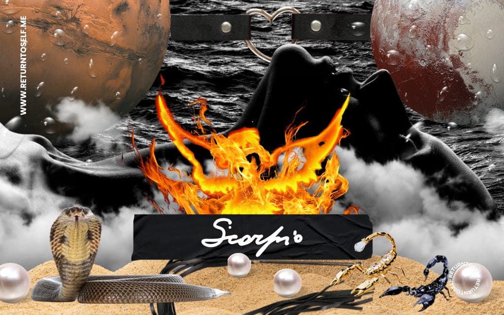 Phoenix Feather on the Wind illustration