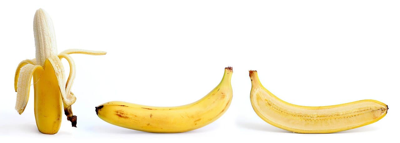Bananas grow on trees illustration