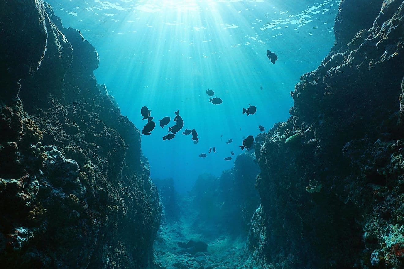 The Pacific Ocean is shrinking illustration