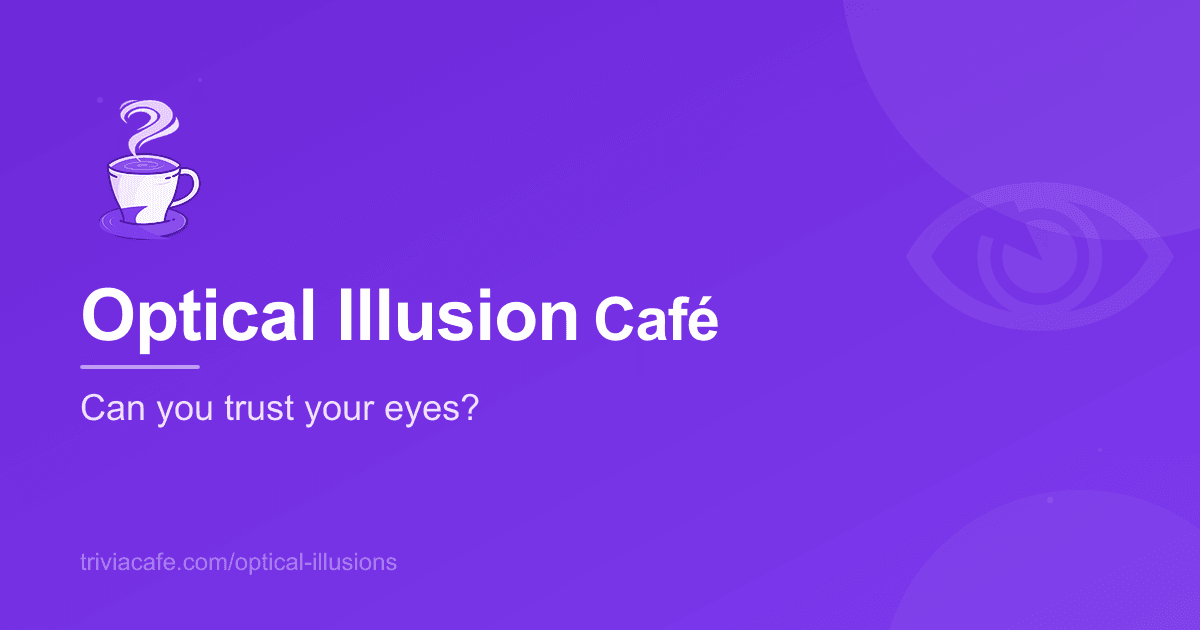 Optical Illusion Cafe - Can you trust your eyes? | Trivia Cafe