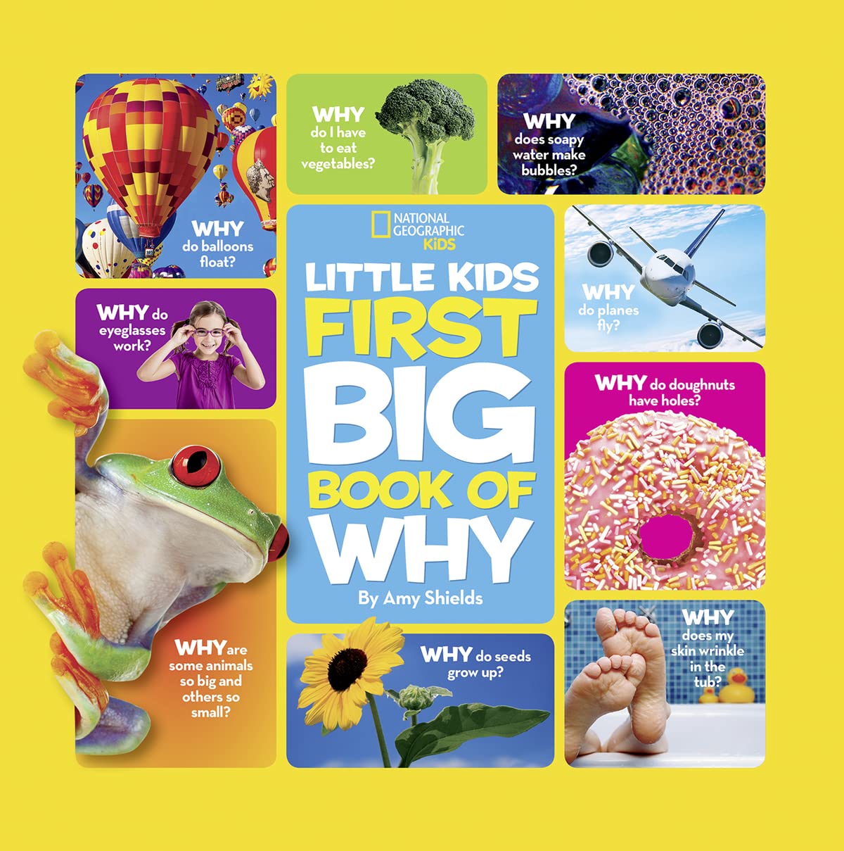 Nat Geo Little Kids First Big Book of Why - recommended kids trivia book